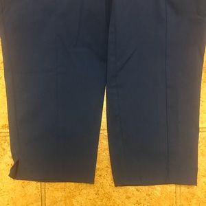 Dalia Pants - EUC plus size woman’s ankle pants Dalia Pants - EUC plus size woman’s ankle pants